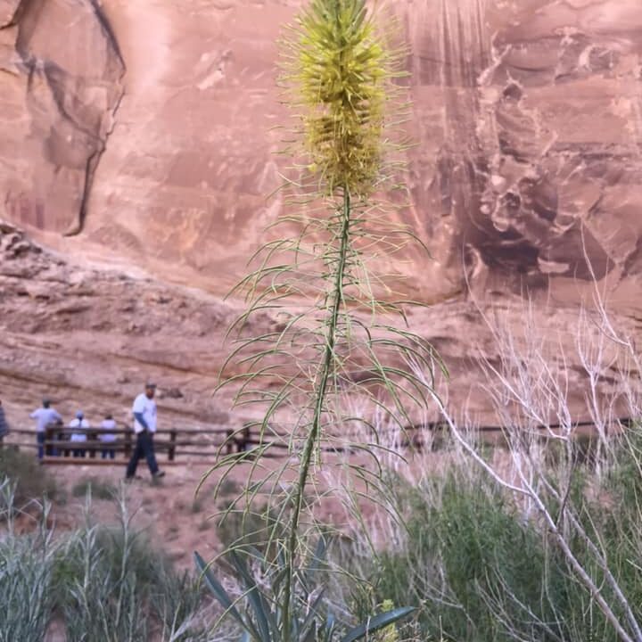 355298094_10228565039928690_1959347563422806932_n